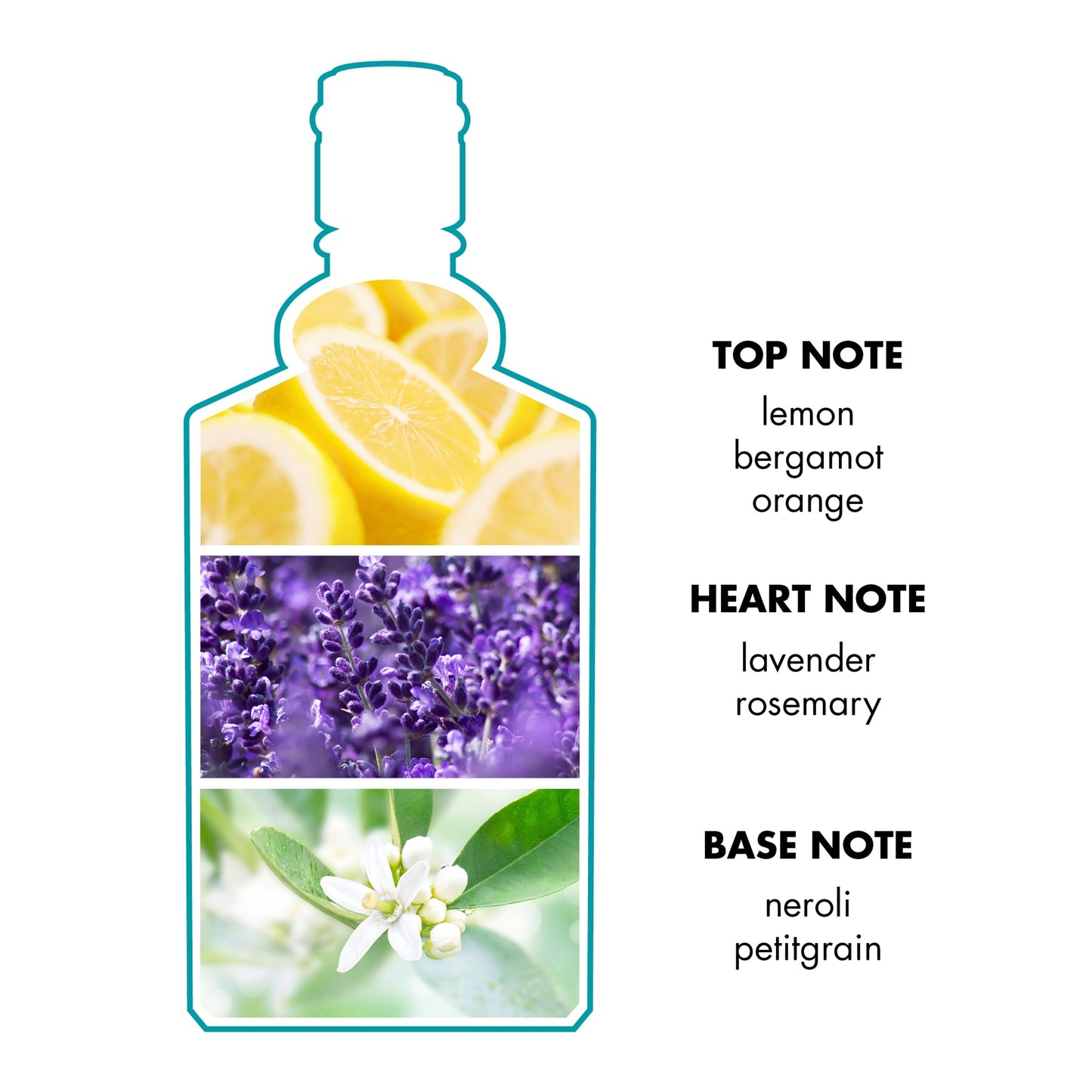 4711 Eau de Cologne for Women 150ml - Classic Fragrance with Refreshing Citrus and Floral Notes